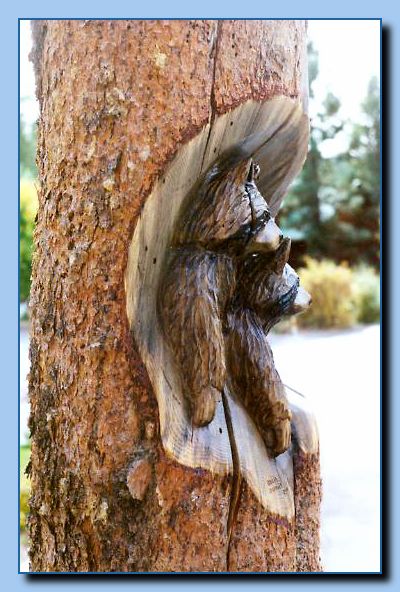 2-10 raccoons carved into tree stump-archive-0001